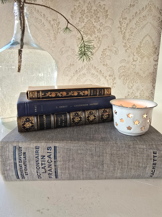 Set antieke Franse boeken, blauw