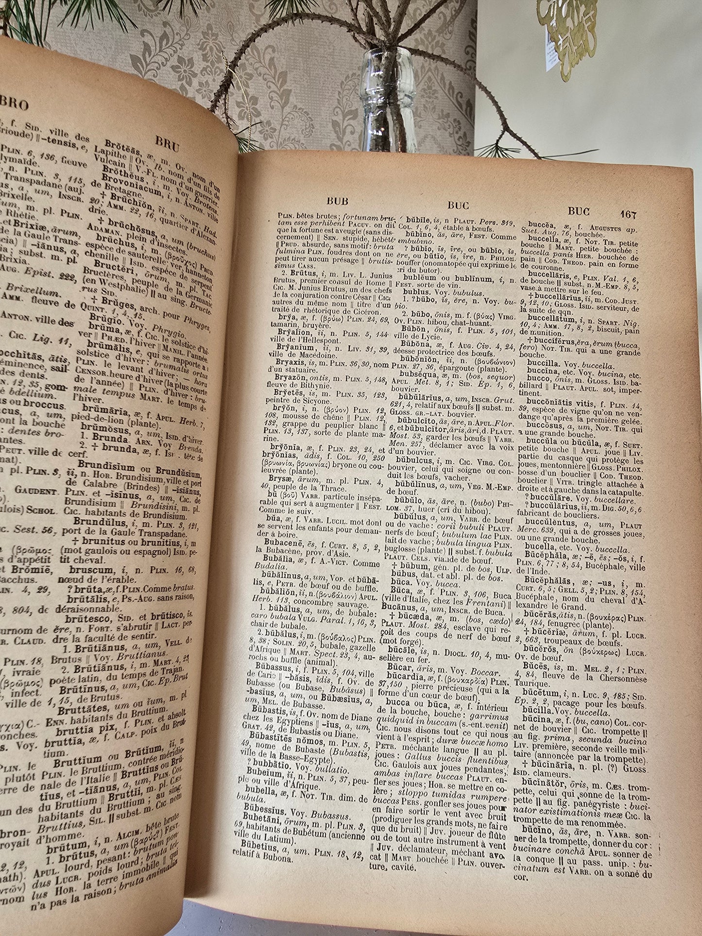 Set antieke Franse boeken, blauw