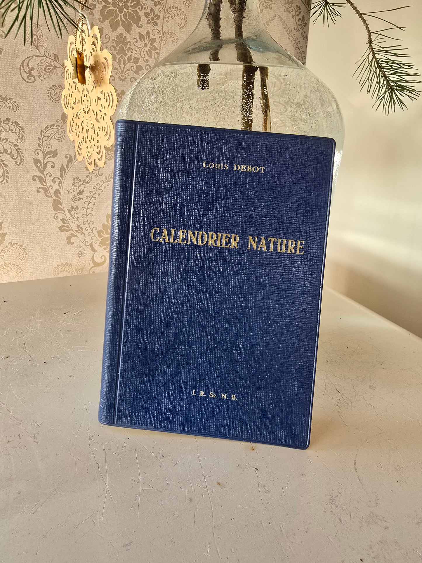 Set antieke Franse boeken, blauw