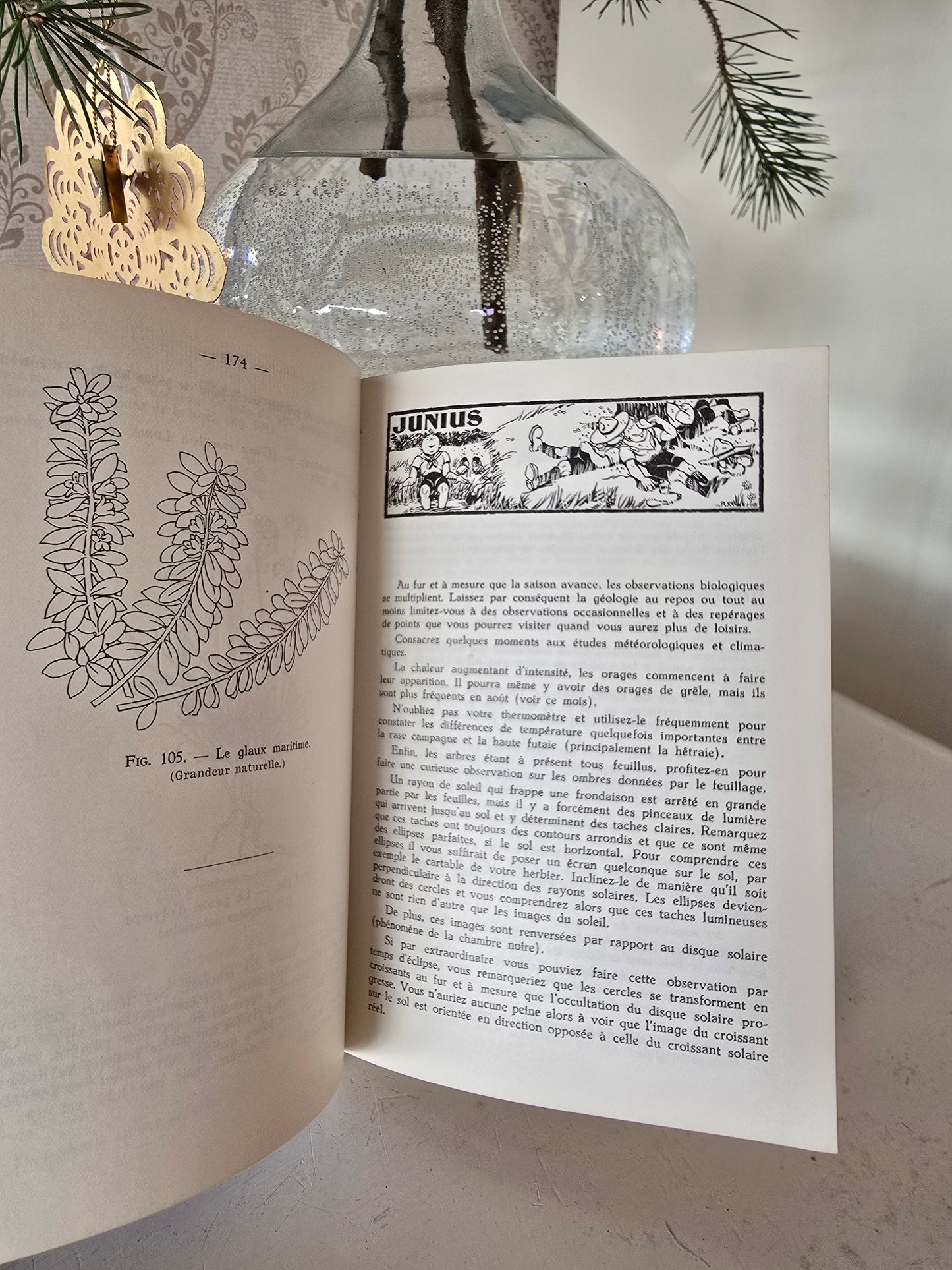 Set antieke Franse boeken, blauw