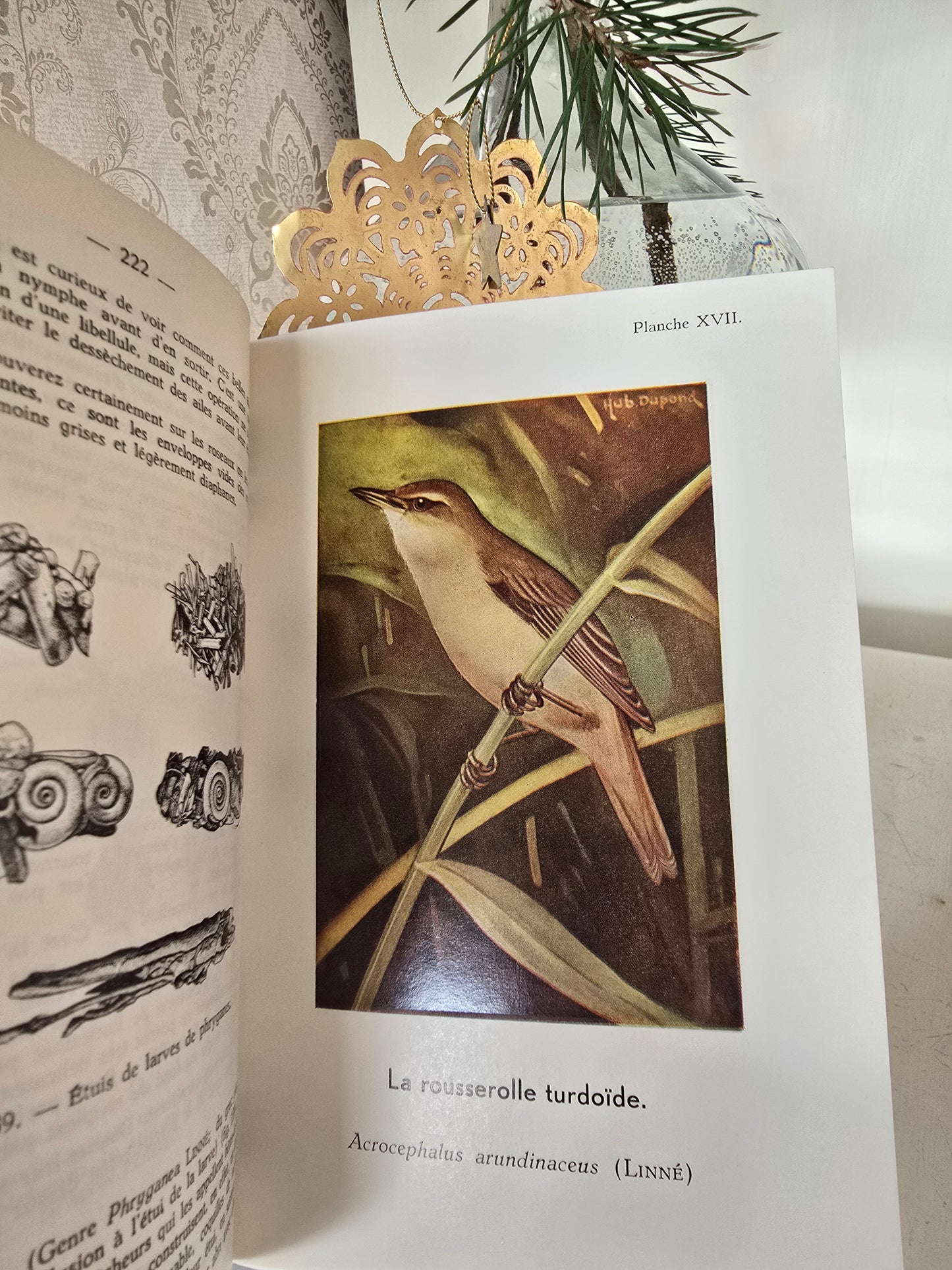 Set antieke Franse boeken, blauw