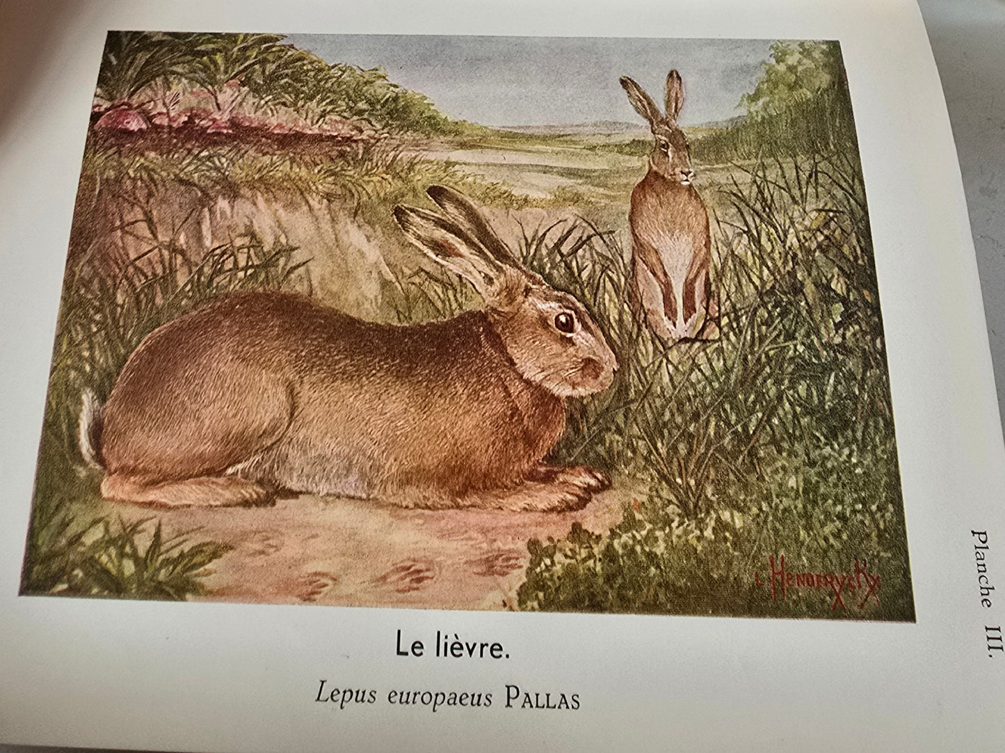 Set antieke Franse boeken, blauw