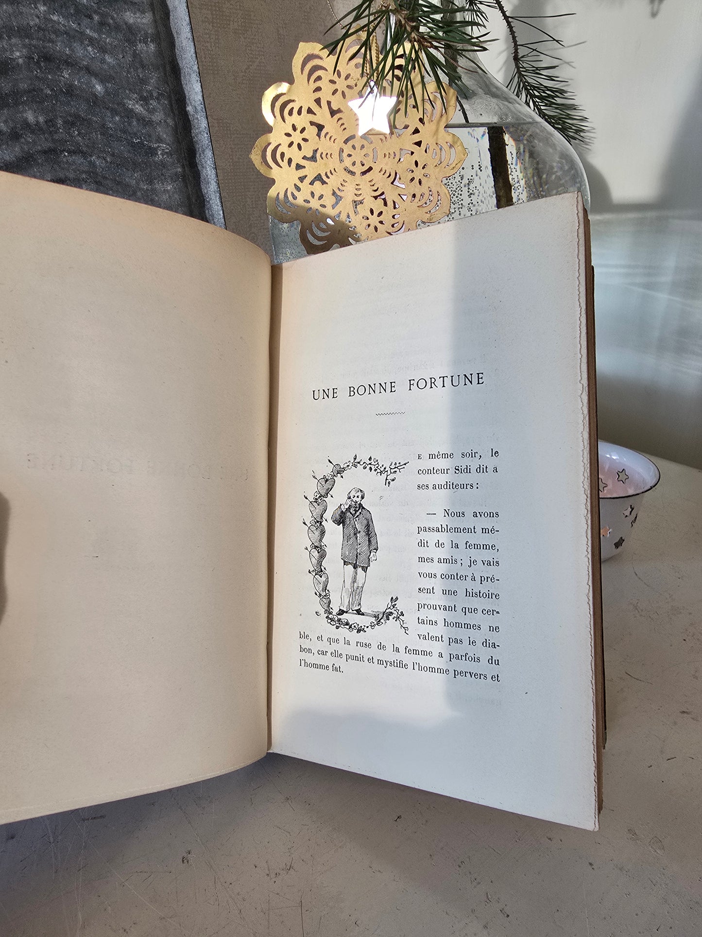 Set antieke Franse boeken, blauw