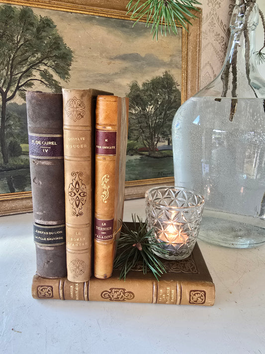 Set antieke Franse boeken, bruin