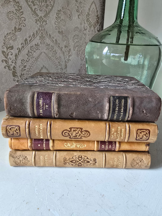 Set antieke Franse boeken, bruin
