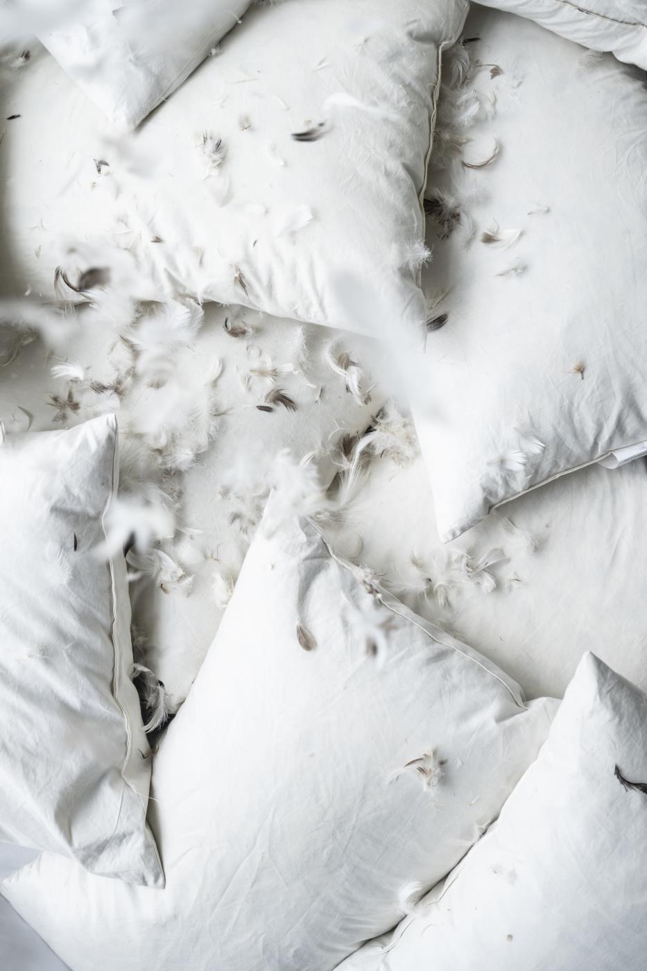 Kussenvulling 50x50cm, 550 gr eenden veren + dons