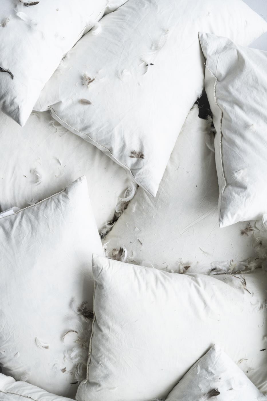 Kussenvulling 50x50cm, 550 gr eenden veren + dons